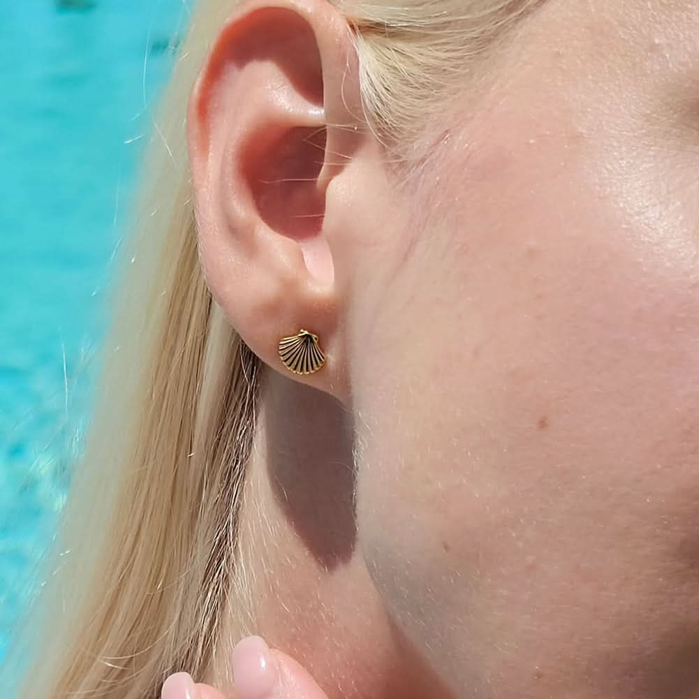 Starfish Huggie Hoop earrings Set